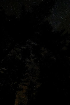 D72_7104_00025.jpg
