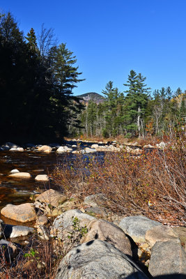 D72_7250_00059.jpg