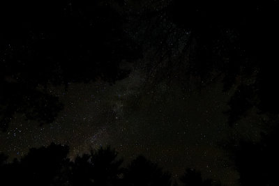D72_7114_00028.jpg