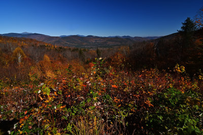 D72_7128_00031.jpg