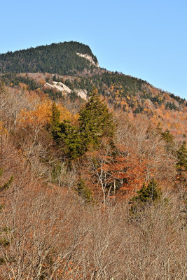 D72_7160_00035.jpg