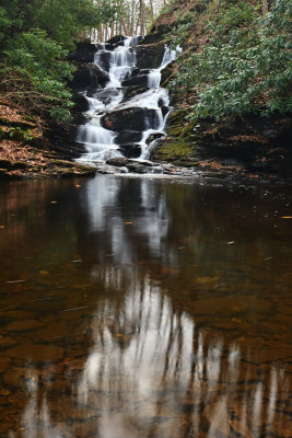 D72_7350_00004.jpg