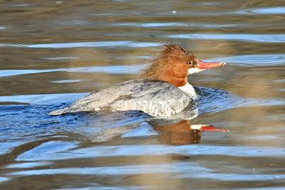 D72_7682_00005.jpg