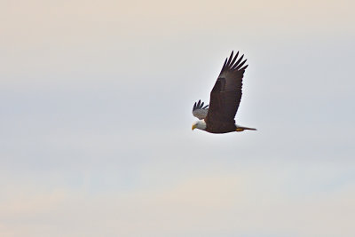 D72_7938_00006s.jpg