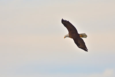 D72_7943_00009s.jpg