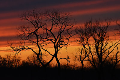 D72_7956_00011s.jpg
