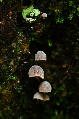 D72_8950_00002s.jpg