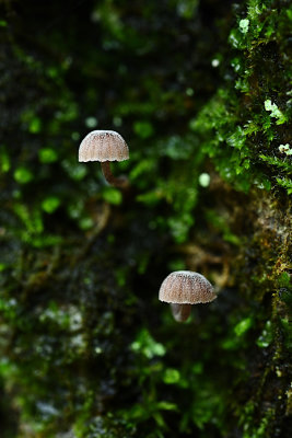D72_8954_00003s.jpg