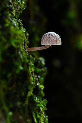 D72_8959_00004s.jpg