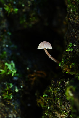 D72_8965_00006s.jpg