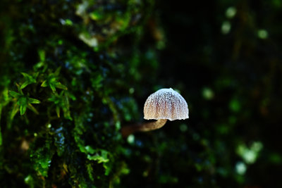D72_8987_00008s.jpg
