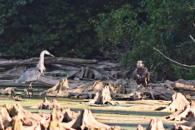 Middle Creek 9-22+