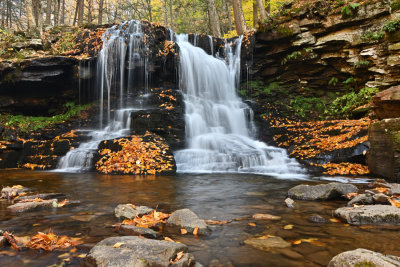 D72_9098_00002.jpg