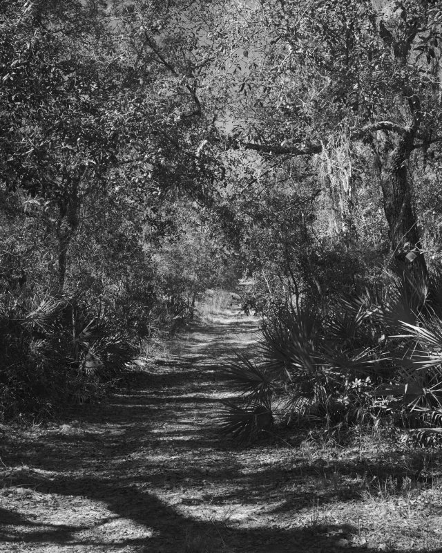 Long Trail