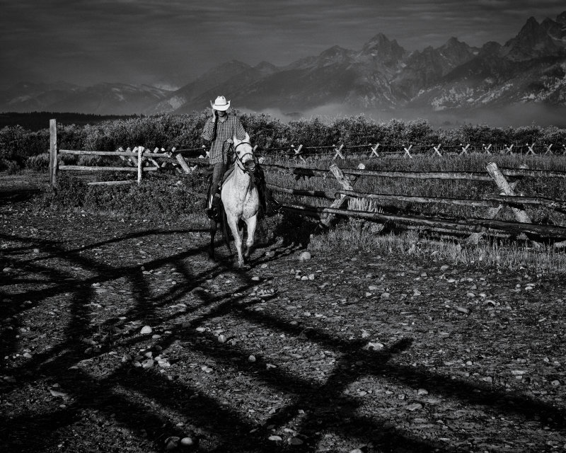 Modern Day Cowboy