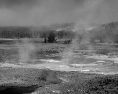 Steam Rising