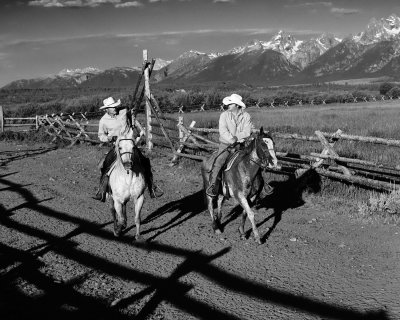 After the Roundup