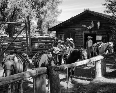 The Ranch