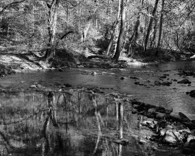Reflection Pool