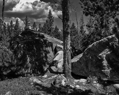 Rocks in High Country