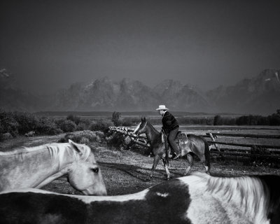 Rounding up Stragglers on Foggy Morning
