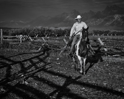 After the Roundup 