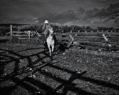 Modern Day Cowboy