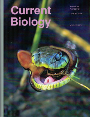 Current Biology Cover.jpg