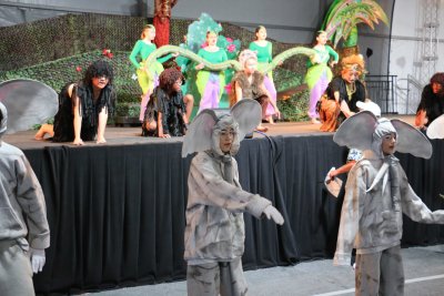 IMG_4593.jpg