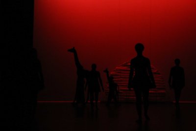 IMG_3576.jpg