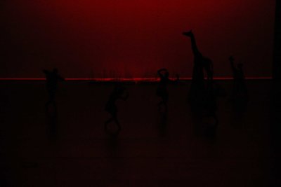 IMG_4132.jpg