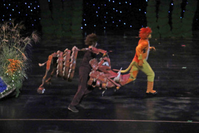 IMG_4233.jpg