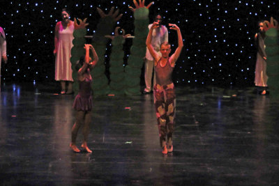 IMG_4265.jpg