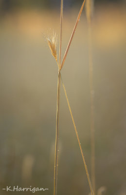 g12/90/1011190/3/169679292.XCpryAEu.jpg