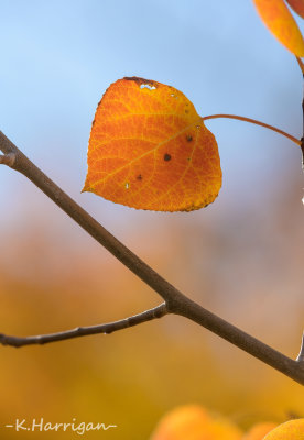 On a Gradient