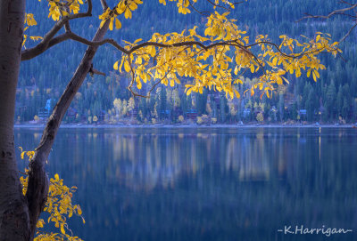 Fall Morning