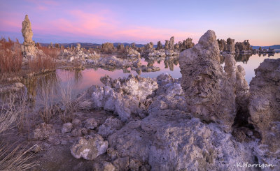 Morning Tufa Scene