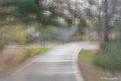 Idyll: Evening Promenade