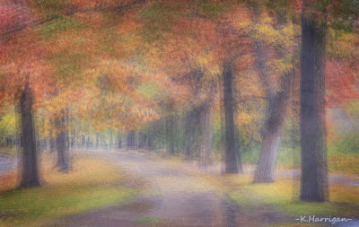 Idyll: Autumn Stroll