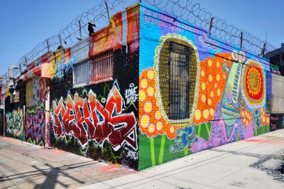 30 Bushwick Street Art MRC@2019.jpg