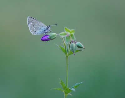 g12/90/1190690/3/172828586.J2SoK8Fs.jpg