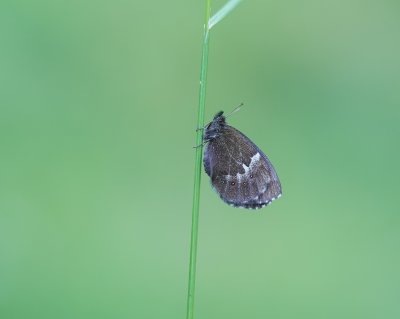 g12/90/1190690/3/172832570.BK5Vbtu6.jpg