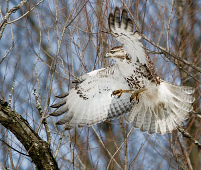 Middlecreek Wildlife Preserve