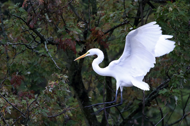Looking to Land