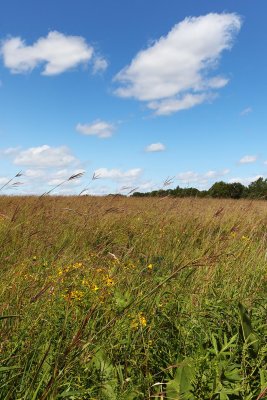 The Open Prairie