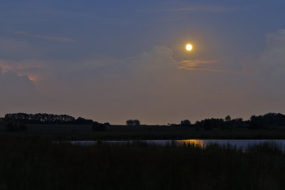 Night Before the Harvest