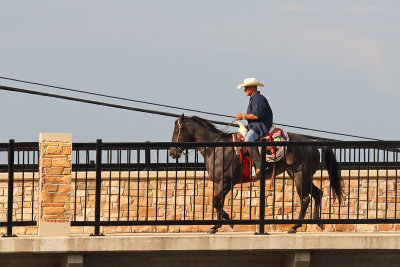 Horse Over the Fox