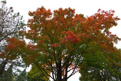 October and Out
