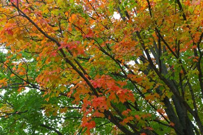 Color Beneath the Clouds