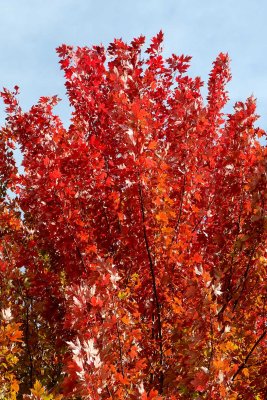 October Flames